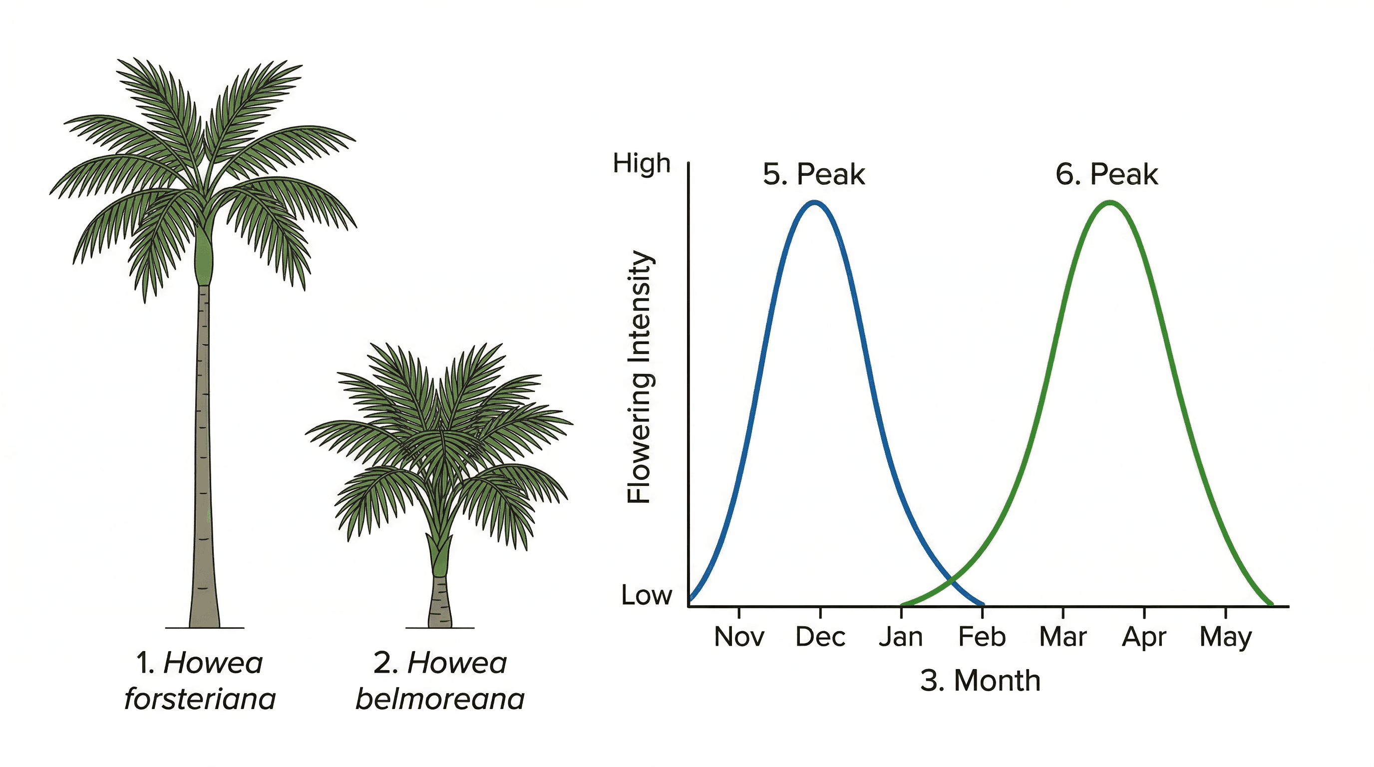 Mechanisms of sympatric speciation, showing divergence without geographical barriers.