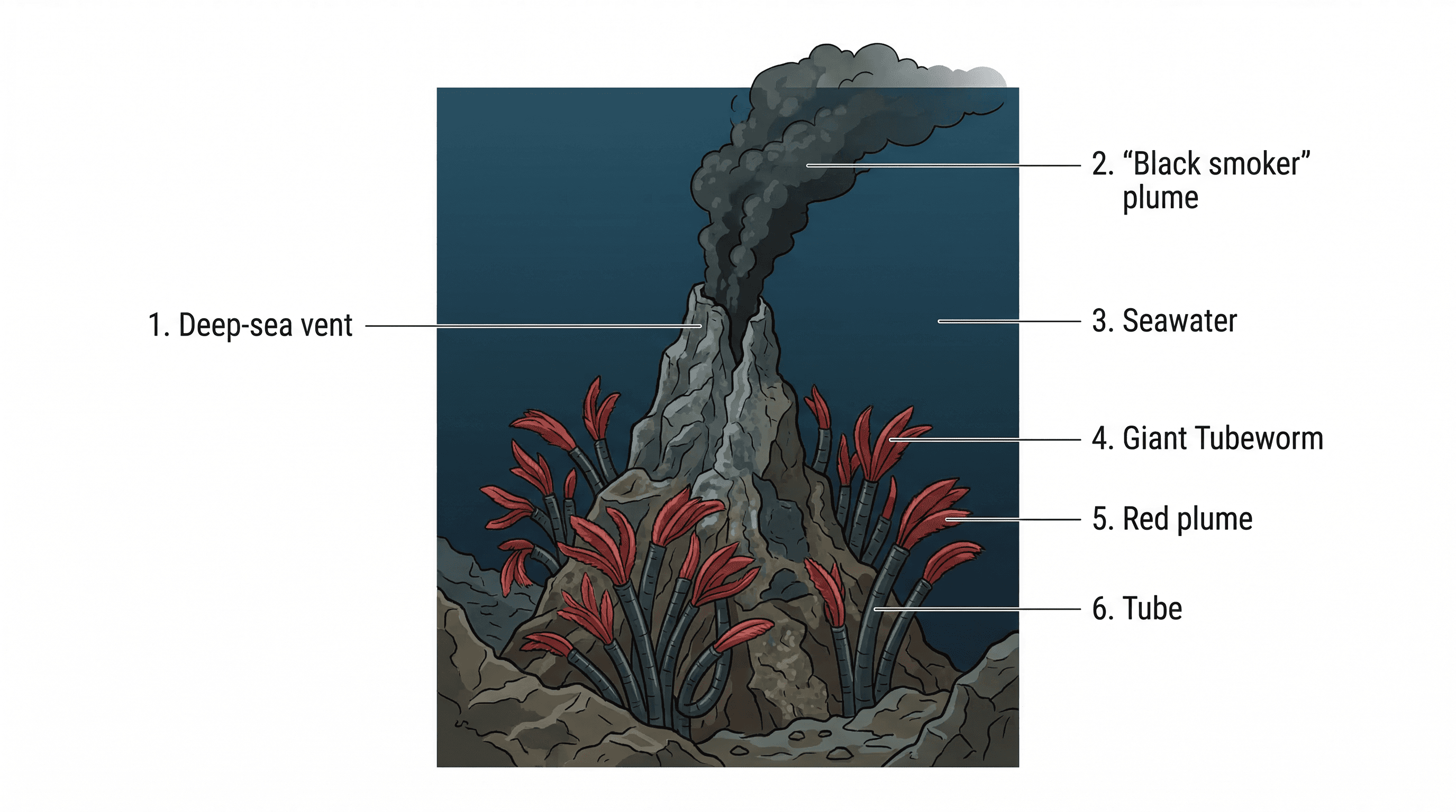 The three domains of life: Bacteria, Archaea, and Eukarya.
