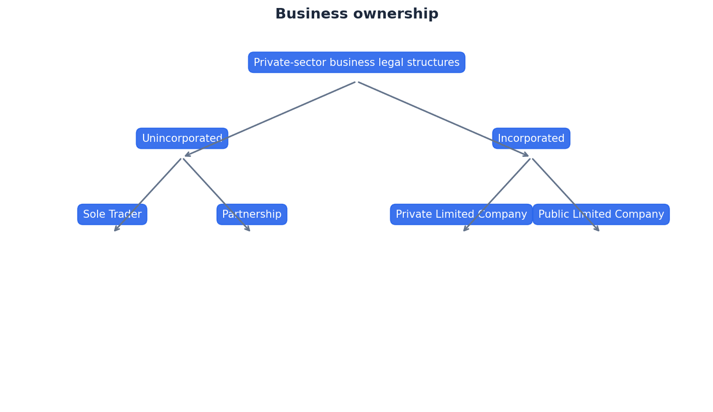 Overview of different forms of business ownership.