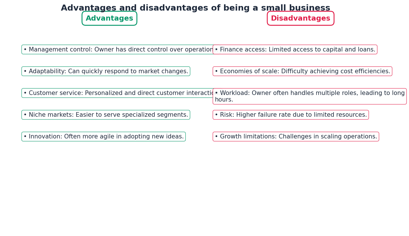 Advantages and Disadvantages of Small Businesses
