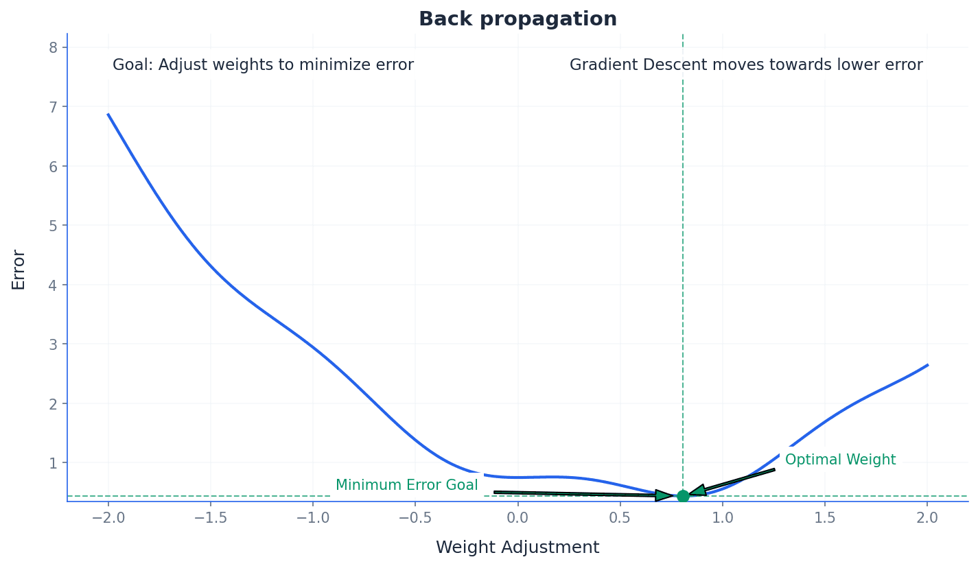 A simplified diagram illustrating the back propagation process in a neural network.