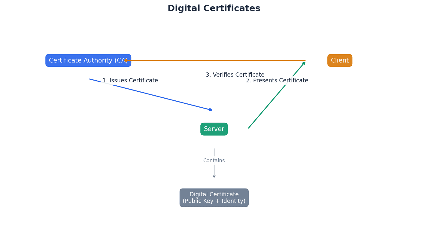 The components and role of a digital certificate in establishing trust.