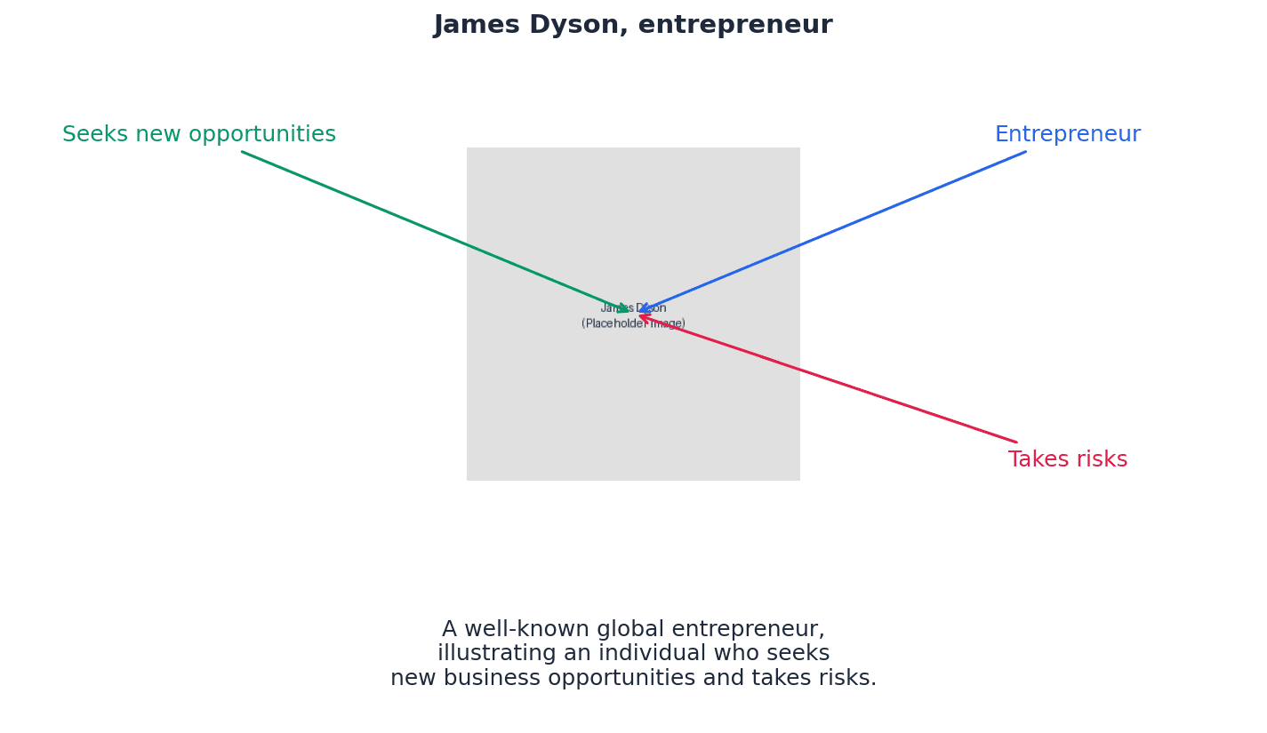 James Dyson, an entrepreneur known for innovation and risk-taking.