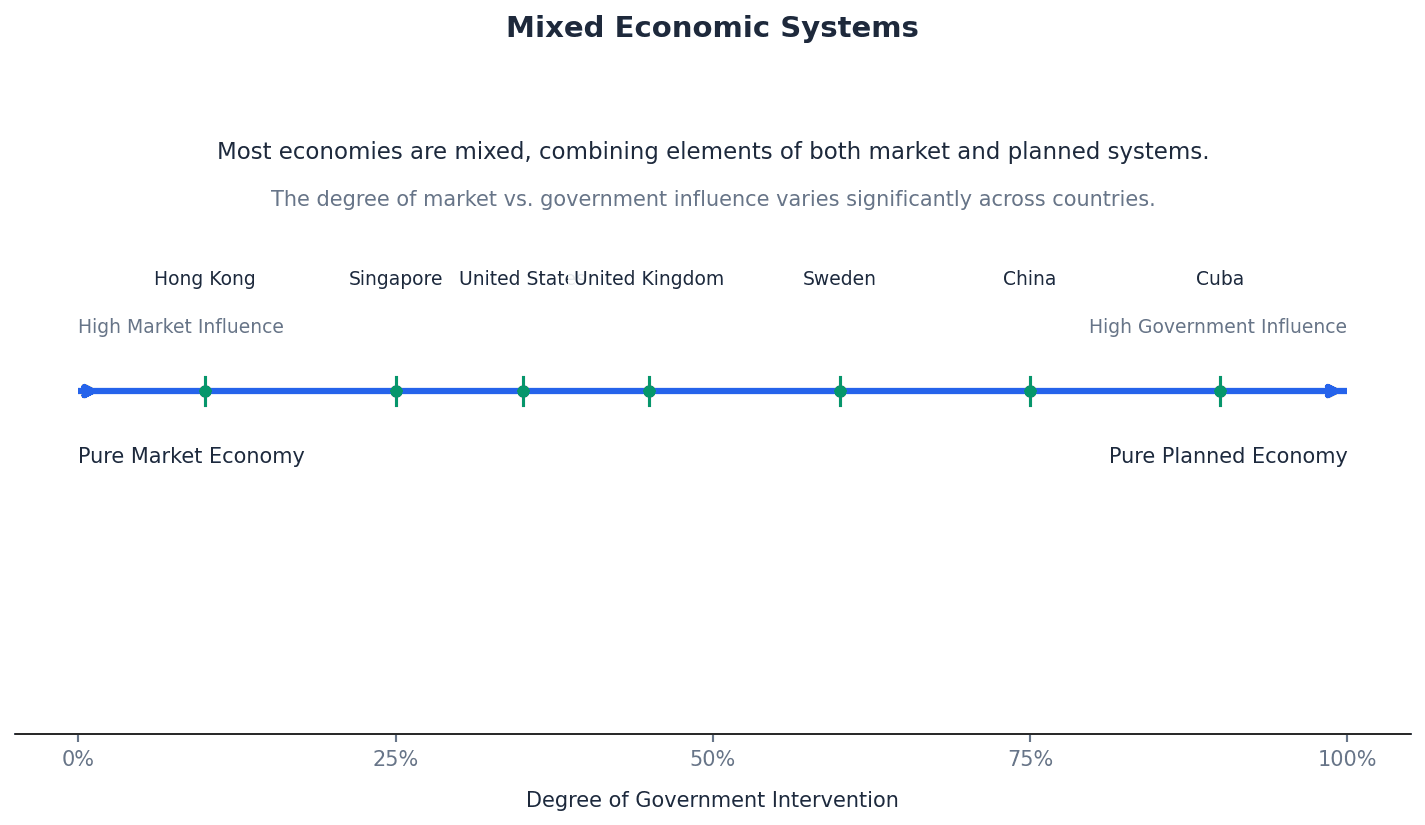 Mixed Economic Systems