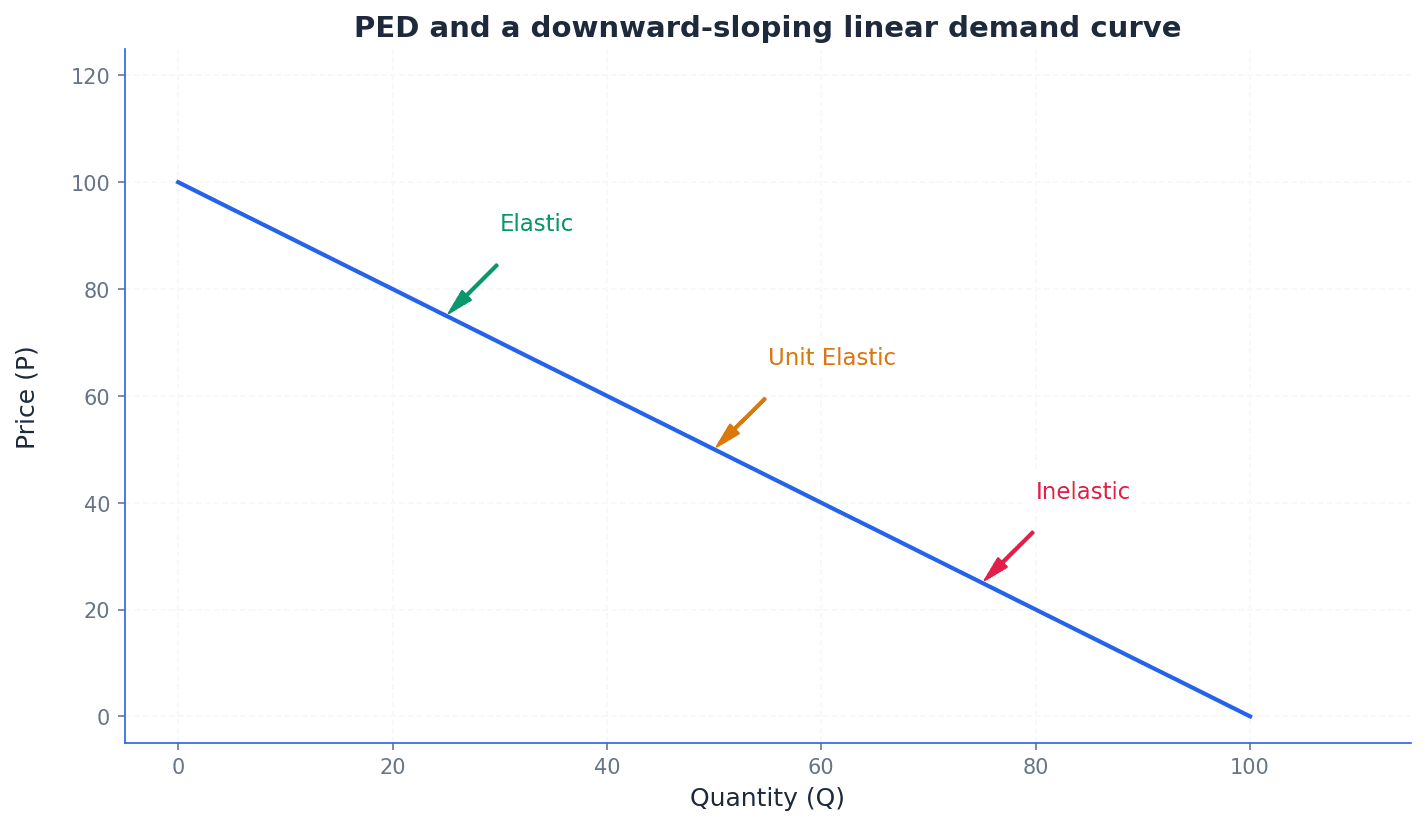 Shows how PED varies along a linear demand curve.