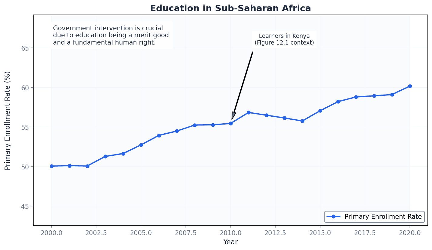 The role of education as a merit good, particularly in regions like Sub-Saharan Africa.