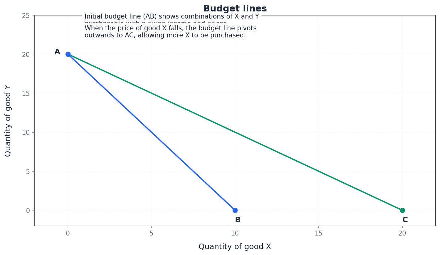 A Budget Line showing affordable combinations of two goods.