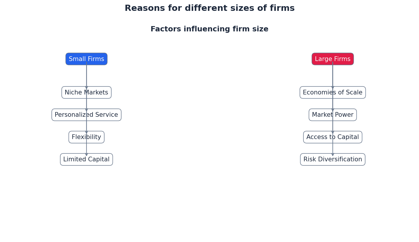 Factors influencing the varying sizes of firms.