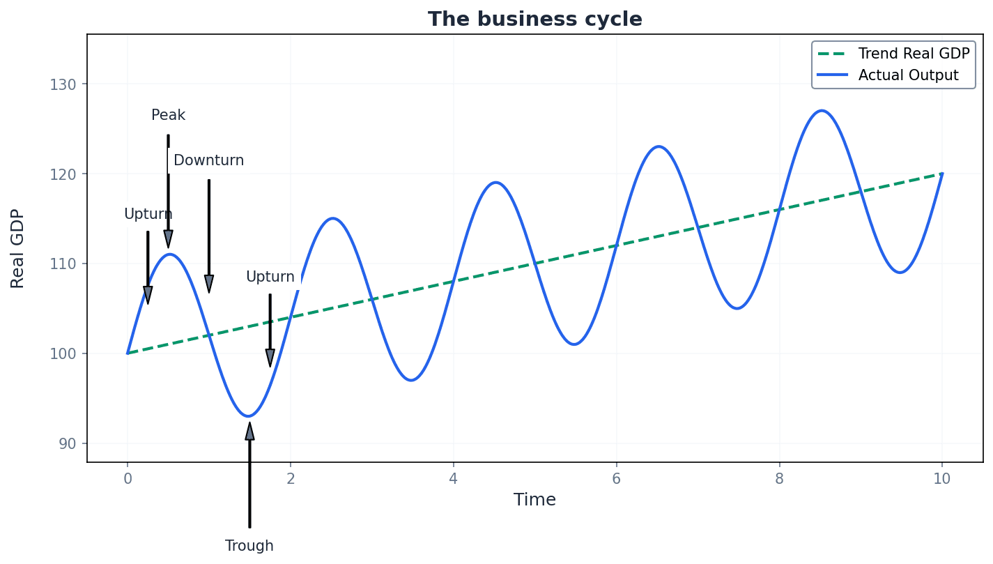 The Phases of the Business Cycle