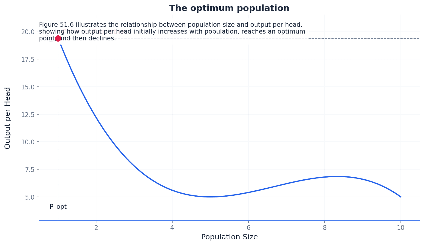 The Optimum Population