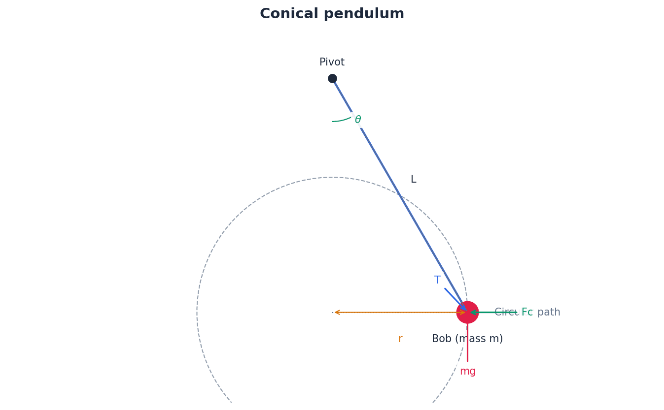 Forces acting on a conical pendulum bob.