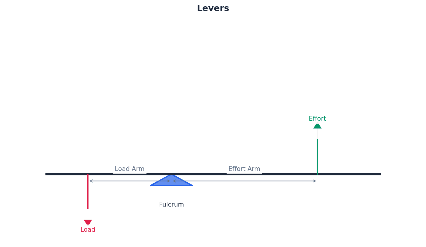 Levers and their fulcrum