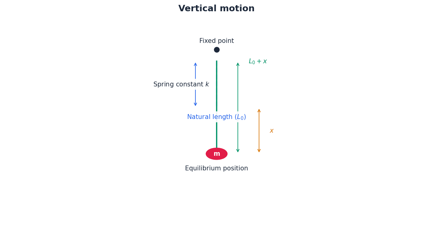 A particle undergoing vertical motion attached to an elastic string, illustrating changes in kinetic, gravitational potential, and elastic potential energy.