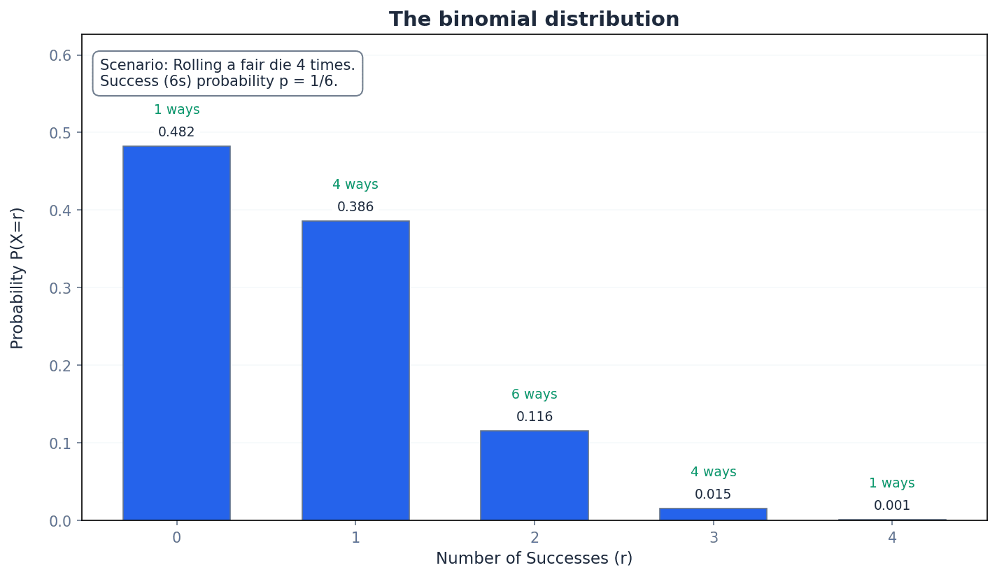 Visual representation of a binomial distribution.