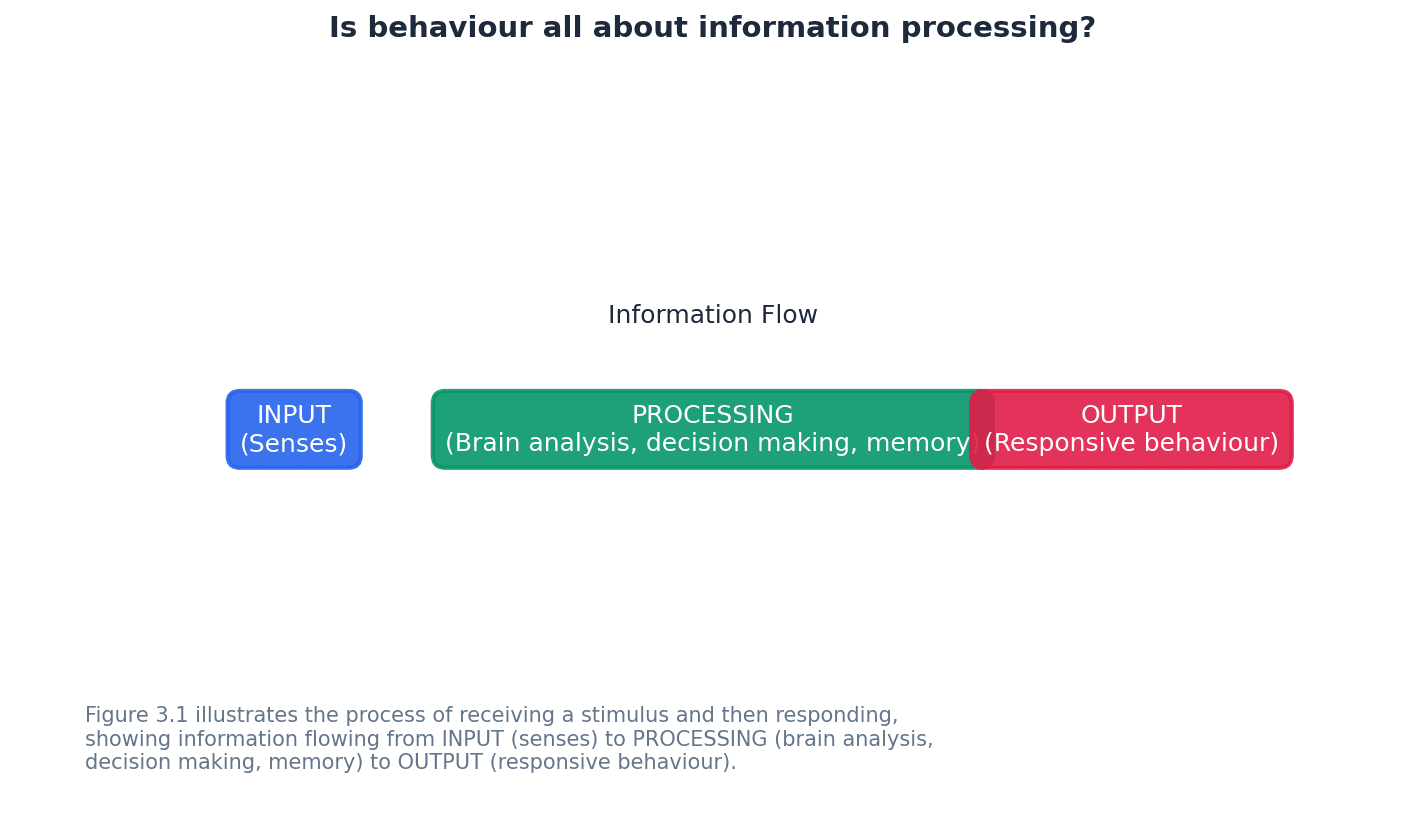 The cognitive approach views behaviour as a result of information processing.