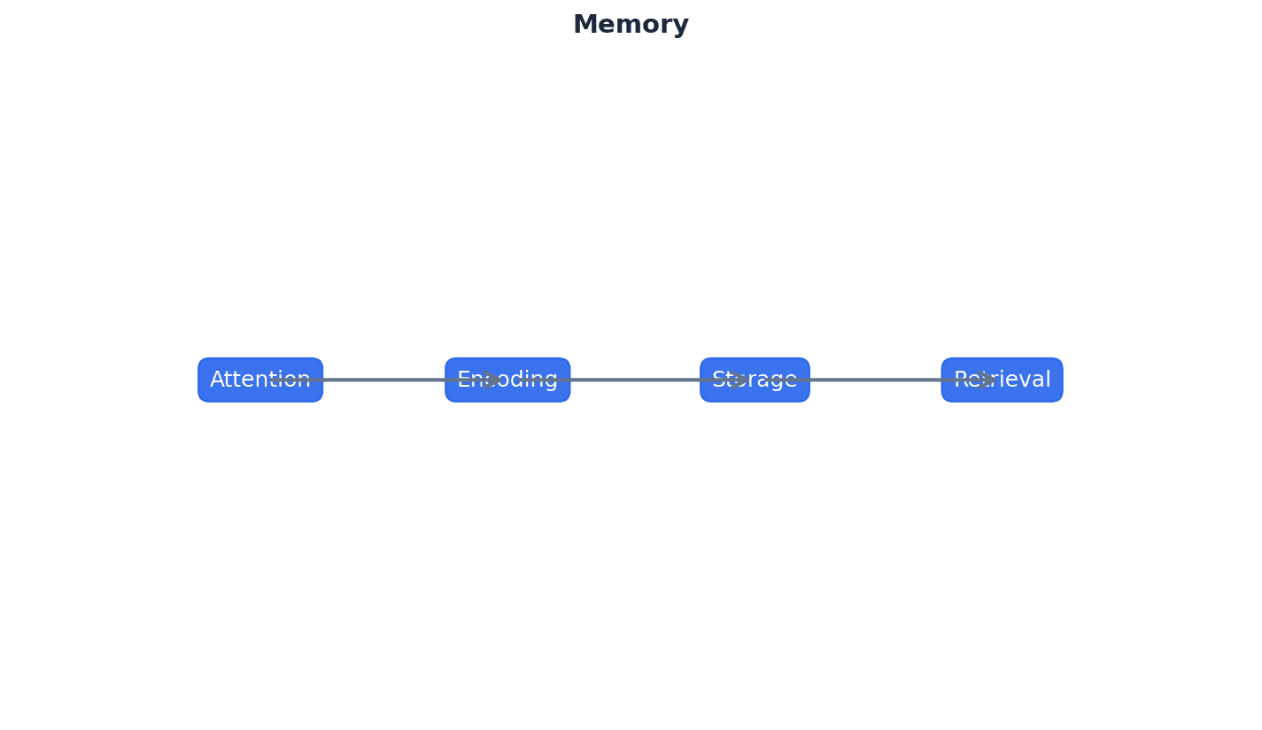 Memory is a key cognitive process involving encoding, storage, and retrieval.