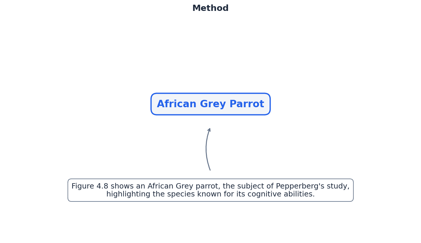 General overview of research methods in the learning approach.