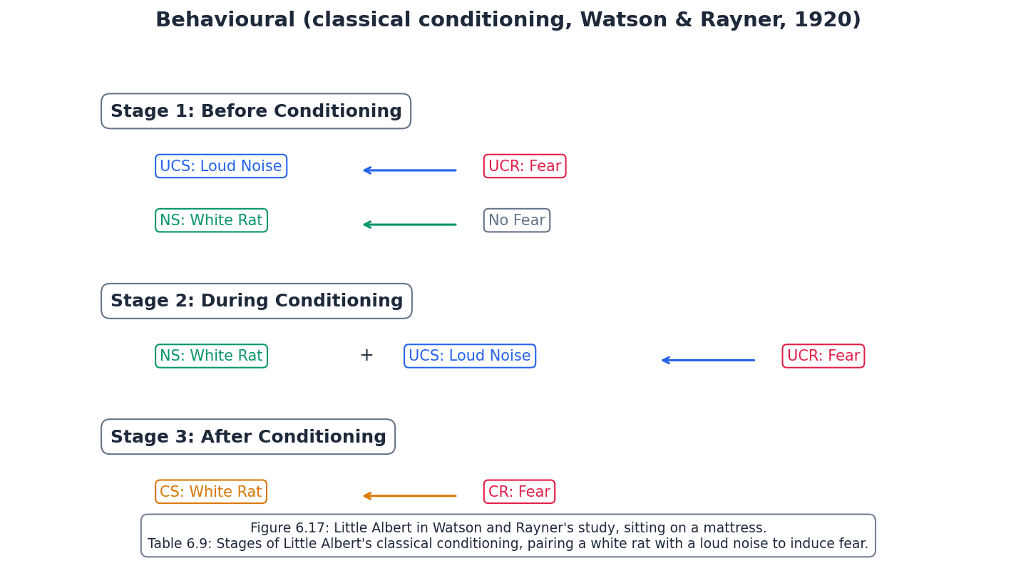 Classical Conditioning of Fear (Little Albert)