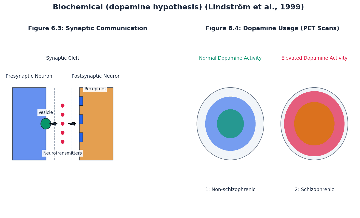 The Dopamine Hypothesis in Schizophrenia